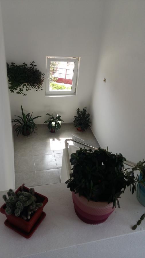 Apartment Hramina Murter Buitenkant foto
